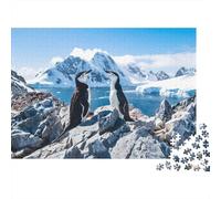 Antarctic Penguins Rompecabezas 1000 Piezas - Wildlife Nature Scene -Desafío Imposible Ilustrados Adultos Familia Papel Regalo Navidad Juego Familiar 70x50cm/1000pcs
