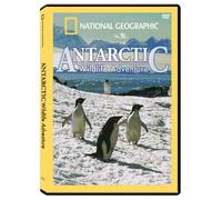 Antarctic Wildlife Adventure [USA] [DVD]