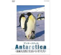 Antarctica ~南極・大自然に生きるペンギンたち~ [DVD]