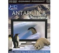 Antarctica Dreaming [HD DVD] [Reino Unido]