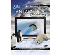 Antarctica Dreaming: Wildlife On Ice SD [2007] [Reino Unido] [DVD]