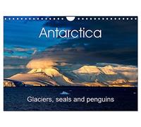 Antarctica Glaciers, seals and penguins (Wall Calendar 2026 DIN A4 landscape), CALVENDO 12 Month Wall Calendar: Beautiful images of the last untouched paradise on earth