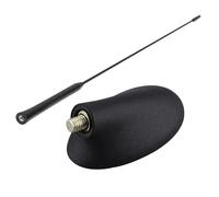 Antenas para vehículos Antena de Techo Am/FM para Coche + Kit de Base Compatible con Ford Focus, Fiesta, Mondeo, Transit y Poman. Antena de Coche