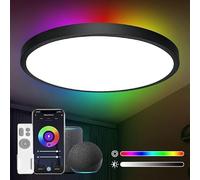 ANTENLICHT Lampara Teche LED 24W 30cm con Alexa y Google Home,Plafon Redondo Regulable 2700K-6500K,Control APP, Mando a Distancia mit 16 Millionen DlY Farben para Dormitorio Salón Cocin