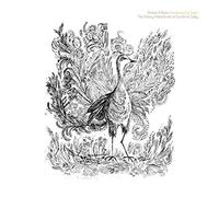 Antero Mentu Landscaping Team - The Many Adventures of Sunshine Sally (LP) [Vinilo]