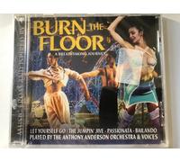 Anthony Anderson - Burn the floor