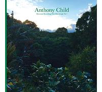 Anthony Child - Electronic Recordings from Maui Jungle, Vol. 1 [Vinilo]