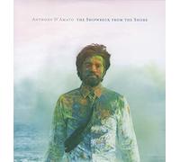 Anthony D'Amato - The Shipwreck From The Shore (includes download card) [Vinilo]