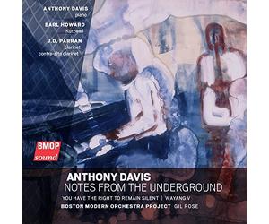 Anthony Davis - Notes from the Underground