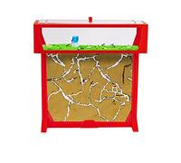 AntHouse.es - Hormiguero Natural de Arena | Kit 3D T Big 25x20x1,5 cm | Granja de Hormigas Rojo | Colonia de Hormigas Incluida