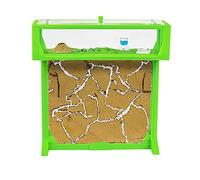 AntHouse.es - Hormiguero Natural de Arena | Kit 3D T Big 25x20x1,5 cm | Granja de Hormigas Verde | Colonia de Hormigas Incluida