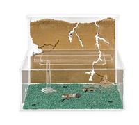 Anthouse.es - Hormiguero Natural de Arena - Kit en acrilico a Forma de L (Sándwich + Caja de Forrajeo) - Granja de Hormigas con Colonia de Hormigas Incluida - 25x20x1 cm y 10x24x10 cm - Transparente