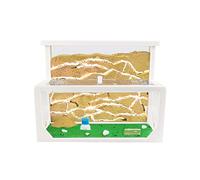 Anthouse.es - Hormiguero Natural de Arena - Kit Hormiguero 3D Forma de L (Sándwich + Caja de Forrajeo) - Granja de Hormigas con Colonia de Hormigas Incluida - 25x20x1 cm y 10x24x10 cm - Blanco
