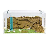 Anthouse.es - Hormiguero Natural de Arena - Kit Inicio Acrílico 20x10x10 cm - Granja de Hormigas con Colonia de Hormigas, Arena, Piptea y Bebedero Incluido - Fácil Instalación
