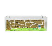 AntHouse.es - Hormiguero Natural de Arena | Kit Inicio Big Acrílico 30x15x10 cm | Granja de Hormigas | Colonias de Hormigas Incluida