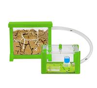 Anthouse - Hormiguero Natural de Arena Básico- Terrario 3D de Hormigas con Colonia Incluida - Kit Hormiguero Acrílico Tipo Sándwich (12x10x1 cm), Caja de Forrajeo con Tapadera (18x10x5 cm) - Verde