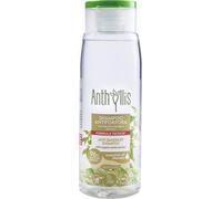 Anthyllis Champú Anticaspa - 300 ml Anthyllis