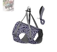 Anti-Break Away Chest Strap Cat Clothes, Niowatchted Cats Dogs Vest Harness and Leash, Anti-Break Away Chest Strap, Soft Adjustable Vest Harnesses for Girl&Boy Cat Walking (Blue,XS)
