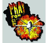 Anti Flag - Sky is Falling [Vinilo]