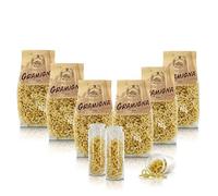 Antico Pastificio Morelli 1860 Srl Gramigna, Pasta Italiana De Sémola De Trigo - Pasta Típica Regional - Lote de 6 x 500g