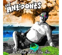 Antidon'Ts - We Reap What You Sew [Casete]