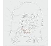 Antiguo Automata Mexicano - Microhate