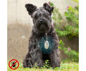 Antiparásitos por Ultrasonidos Recargable para Mascotas PetRep InnovaGoods