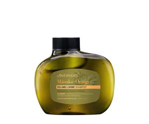 Antipodes Manuka + Orange Volume & Shine Shampoo Champú 340 ml