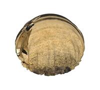 Antlers In The Field Gorro de ducha impermeable, Gorro de baño elástico Gorro de protección del medio ambiente Gorros de baño para el cabello, Capas impermeables dobles Gorro de ducha de baño