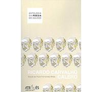 Antologia da poesia em galego: 33 (Através das Letras)