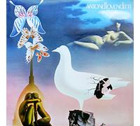 Antonello Venditti - Antonello Venditti "Sotto la pioggia" LP SOTTO LA PIOGGIA Italy 1982 +