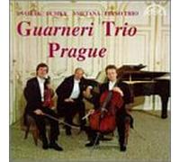 Antonin Dvorak/Smetana - Piano Trio Op90 Dumky