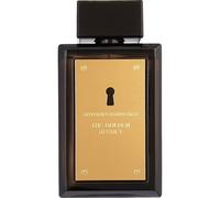 Antonio Banderas - The Golden Secret Perfumes 100 ml male