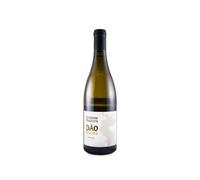 António Madeira Branco 2023