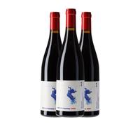 Antonio Madeira Dão 75 cl Vino tinto (Caja de 3 Botellas de 75 cl)