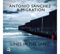 アントニオ・サンチェス / ラインズ・イン・ザ・サンド (Antonio Sanchez / Lines In The Sand) [CD] [Import] [日本語帯・解説付]