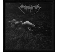 Antropomorphia - Merciless Savagery [Vinilo]