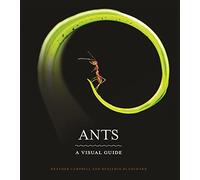 Ants: A Visual Guide