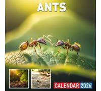 Ants Calendar 2026: Delve into the fascinating world of ants and their colonies through every month of the year
