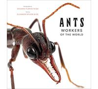 Ants: workers of the world