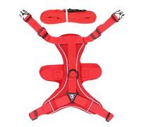 Anulely Arnés para gatos - Correa de correr para gatos, arnés para gatos y correa para caminar, arnés ajustable a prueba de escape para gatitos