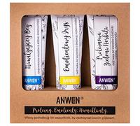 Anwen Zestaw odżywek do średniej porowatości 3x100ml, bez, irys, zielona herbata