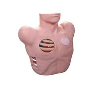 ANXYYDS Toracocentesis Modelo De Drenaje Simulador De Atención Al Paciente Tamaño Natural Toracocentesis Y Drenaje Modelo Neumotórax Y Líquido Torácico Operación De Drenaje Cerrado Entrenamiento