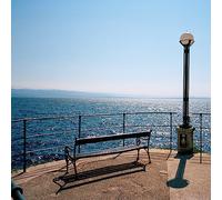 Any-Angled Light - Any-Angled Light [Vinilo]