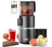 Anybear 124mm Extractor Zumos | 350W Exprimidor Doble Lento | Alto Rendimiento | Tritan Sin BPA | Recetas(Gris Oscuro)