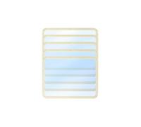 ANYCUBIC Película Mate NFEP de 10,1", 5PCS, para Photon P1 | Película Mate NFEP de 10,1" 5 PCS para Impresora 3D de Resina ANYCUBIC Photon P1