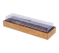 Anzuchtvollholzkiste Anzuchtkiste Pflanzenzucht Incl. 36 Kokosquelltabs Ø 3,5CM