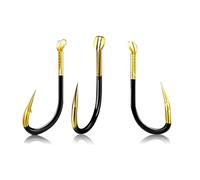 Anzuelos de Pesca Ise-ni Doble Ranura for Sangre, 10 Unidades. Planos con rebaba for Carpa y cruciana(12#)