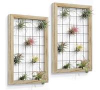 AOAOPQ Paquete de 2 Soportes Colgantes para Plantas de Aire, Estante de Madera, Decoración de Pared para Casa, Suculentas - Amantes de las Plantas
