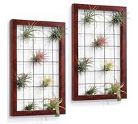AOAOPQ Soporte triangular para plantas de aire, soporte para plantas de aire, rústico, rojo, Tillandsia, plantas suculentas, estante para decoración de pared, juego de 2
